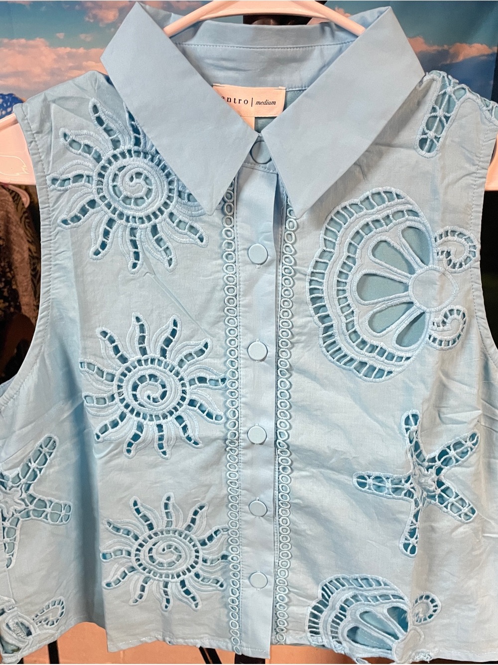 Blue Eyelet Sleeveless Button-Front Top